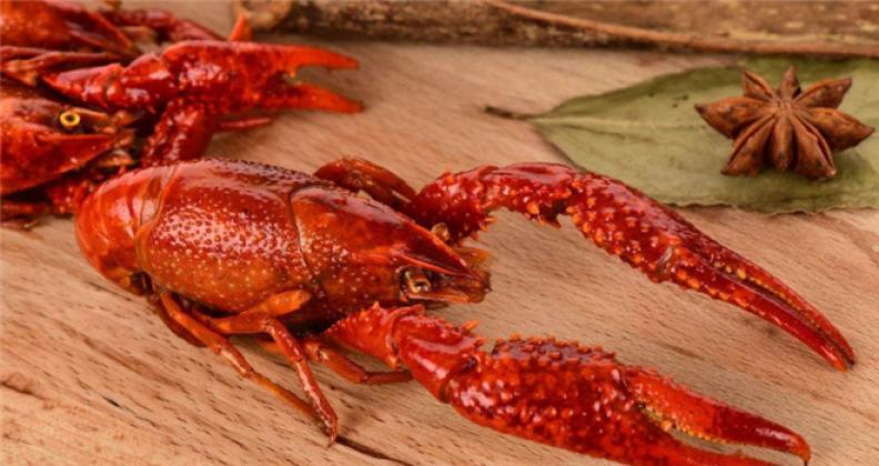 华丰九号小龙虾